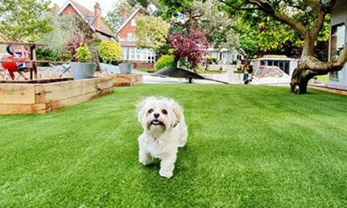 Artificial grass for pets & dogs – Easigrass East Riding