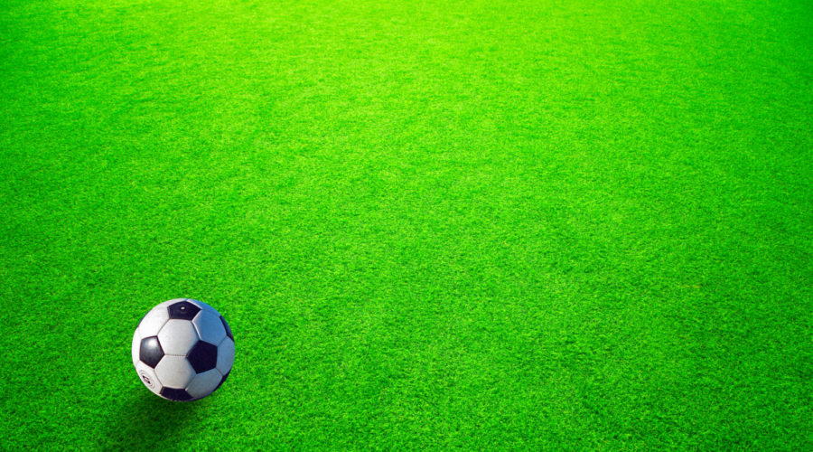 Easigrass East Riding Creating Safe and Fun Play Areas with Artificial Grass